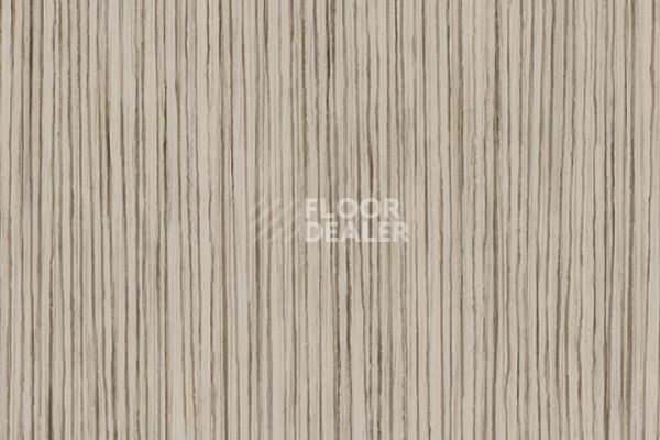 Линолеум FORBO Sarlon Wood 15dB 311T4315 light grey zebrano фото 1 | FLOORDEALER